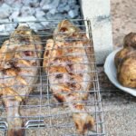 bbq, barbecue, grilled fish-3779810.jpg