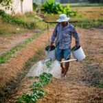 watering, watering can, man-1501209.jpg